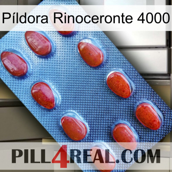 Píldora Rinoceronte 4000 06.jpg